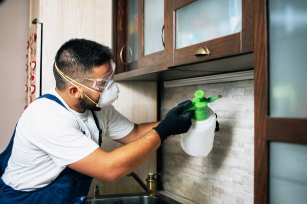 Flea Control Services in Harrisville, PA