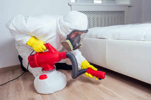 Best Termite Control Services  in Harrisville, PA