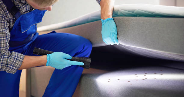 Best Termite Control Services  in Harrisville, PA
