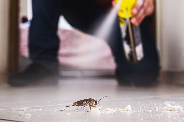 Best Cockroach Control Services  in Harrisville, PA