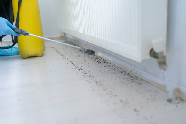 Best Commercial Pest Control Services  in Harrisville, PA